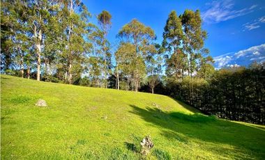 Venta Lote Parcelacion Via San Antonio La Ceja