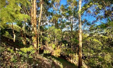 Venta Lote Parcelacion Via San Antonio La Ceja