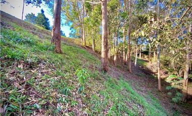 Venta Lote Parcelacion Via San Antonio La Ceja
