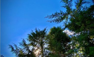 Venta Lote Parcelacion Via San Antonio La Ceja