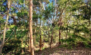 Venta Lote Parcelacion Via San Antonio La Ceja