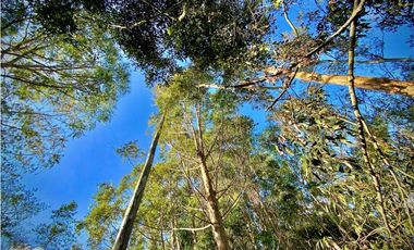 Venta Lote Parcelacion Via San Antonio La Ceja