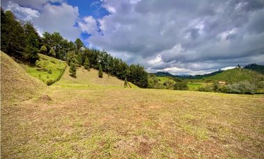 Venta Lote Semiparcelacion todos los servicios con Porton El Retiro