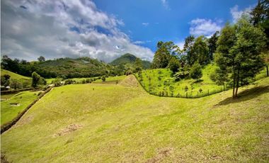 Venta Lote Semiparcelacion todos los servicios con Porton El Retiro