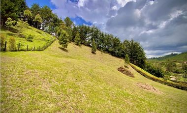 Venta Lote Semiparcelacion todos los servicios con Porton El Retiro