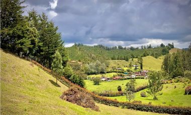 Venta Lote Semiparcelacion todos los servicios con Porton El Retiro