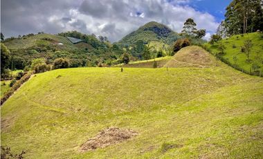 Venta Lote Semiparcelacion todos los servicios con Porton El Retiro