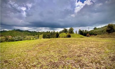 Venta Lote Semiparcelacion todos los servicios con Porton El Retiro