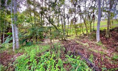 Venta Lote con Quebrada Parcelacion El Retiro Exotica con Bosque