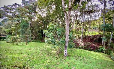 Venta Lote con Quebrada Parcelacion El Retiro Exotica con Bosque
