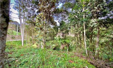 Venta Lote con Quebrada Parcelacion El Retiro Exotica con Bosque