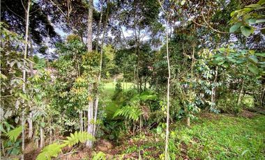 Venta Lote con Quebrada Parcelacion El Retiro Exotica con Bosque
