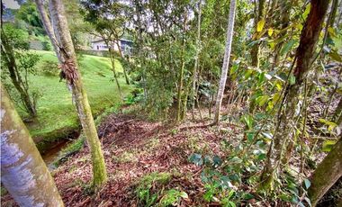 Venta Lote con Quebrada Parcelacion El Retiro Exotica con Bosque