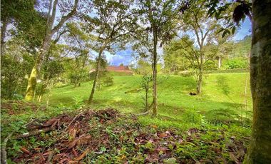 Venta Lote con Quebrada Parcelacion El Retiro Exotica con Bosque