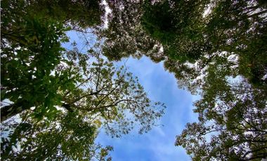 Venta Lote con Quebrada Parcelacion El Retiro Exotica con Bosque