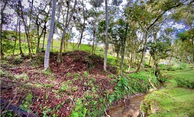 Venta Lote con Quebrada Parcelacion El Retiro Exotica con Bosque