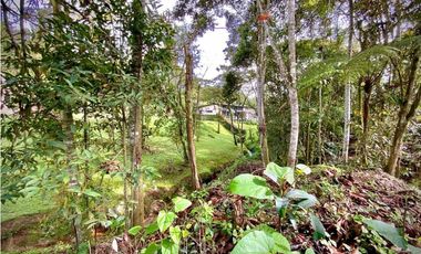 Venta Lote con Quebrada Parcelacion El Retiro Exotica con Bosque