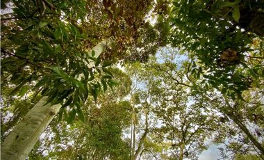 Venta Lote con Quebrada Parcelacion El Retiro Exotica con Bosque