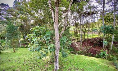 Venta Lote con Quebrada Parcelacion El Retiro Exotica con Bosque