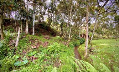 Venta Lote con Quebrada Parcelacion El Retiro Exotica con Bosque