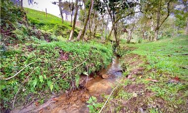 Venta Lote con Quebrada Parcelacion El Retiro Exotica con Bosque