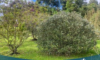 Vendo Hermosa Casa en Tabio Rio Frio Oriental