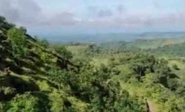 VENTA DE FINCA EN CHIRIQU, UNA EXCELENTE FINCA INVERSIÓN