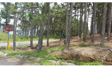 CHAME / SOR / ALTOS DEL MARIA / 2497m2