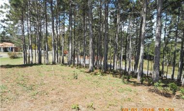 CHAME / SOR / ALTOS DEL MARIA / 2497m2