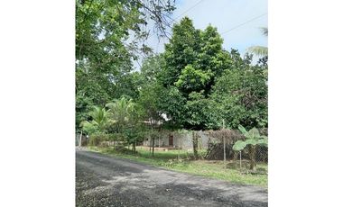 TERRENO CON CASA / SAN MARTIN  / 4,565M2