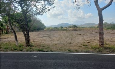 TERRENO / COCLE / PENONOME / 1000 M2