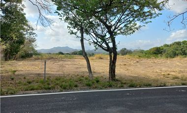 TERRENO / COCLE / PENONOME / 1000 M2