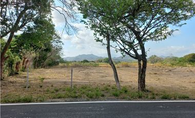 TERRENO / COCLE / PENONOME / 1000 M2