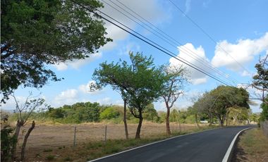TERRENO / COCLE / PENONOME / 1000 M2
