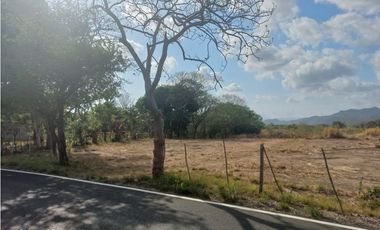TERRENO / COCLE / PENONOME / 1000 M2