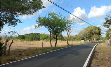 TERRENO / COCLE / PENONOME / 1000 M2