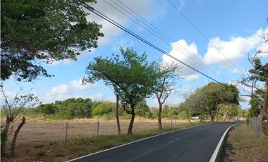 TERRENO / COCLE / PENONOME / 1000 M2