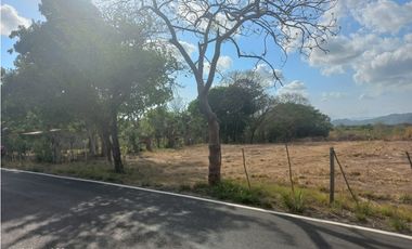 TERRENO / COCLE / PENONOME / 1000 M2