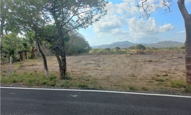 TERRENO / COCLE / PENONOME / 1000 M2