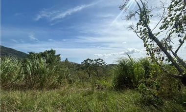 TERRENO / ARRAIJAN / BIQUE / 3 HECTAREAS / POZO DE AGUA