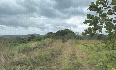 TERRENO/ ARRAIJAN / BIQUE / 3 HECTAREAS