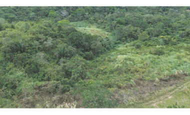 TERRENO/ ARRAIJAN / BIQUE / 3 HECTAREAS