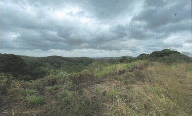 TERRENO/ ARRAIJAN / BIQUE / 3 HECTAREAS