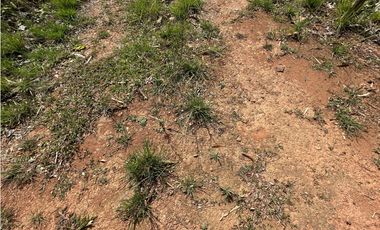 TERRENO / ARRAIJAN / BIQUE / 3 HECTAREAS / POZO DE AGUA