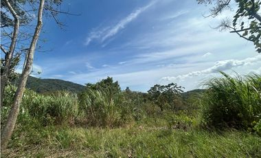 TERRENO / ARRAIJAN / BIQUE / 3 HECTAREAS / POZO DE AGUA