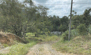 TERRENO/ ARRAIJAN / BIQUE / 3 HECTAREAS