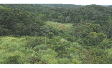 TERRENO/ ARRAIJAN / BIQUE / 3 HECTAREAS
