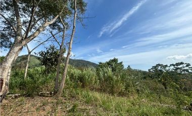 TERRENO / ARRAIJAN / BIQUE / 3 HECTAREAS / POZO DE AGUA