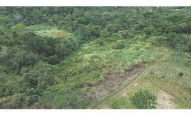 TERRENO/ ARRAIJAN / BIQUE / 3 HECTAREAS