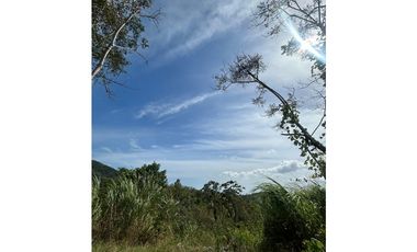 TERRENO / ARRAIJAN / BIQUE / 3 HECTAREAS / POZO DE AGUA